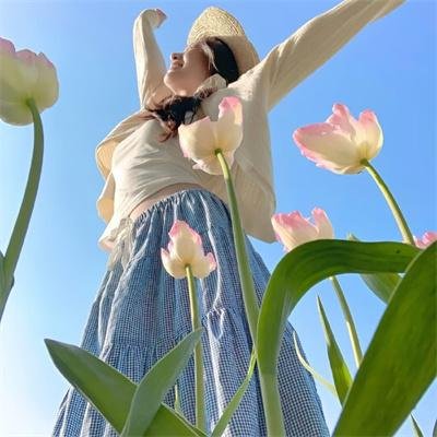 波丽露狂想曲